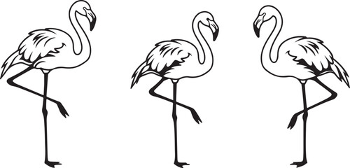 Obraz premium Flamingo Icons, Perfect for Nature and Tropical Themes - Flat Vector Illustration 