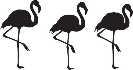Flamingo Icons, Perfect for Nature and Tropical Themes - Flat Vector Illustration
