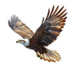 Obraz premium Eagle isolated on transparent background, PNG