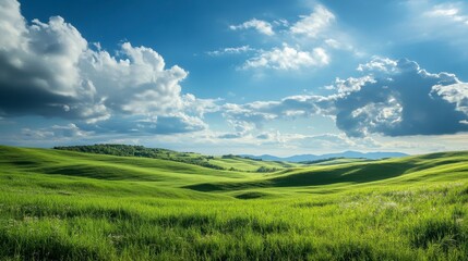 Obraz premium Lush Green Rolling Hills