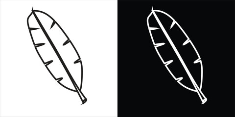 Minimalist Feather Illustration in Black and White Contrasting Styles