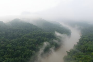 Mist-Covered River in Lush Green Forest
