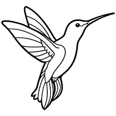 Hummingbird isolated on white background
