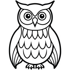 Owl isolated on white background