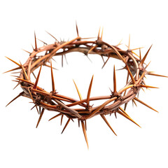 Obraz premium crown made of thorns isolated on a transparent background