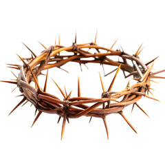 Fototapeta premium crown made of thorns isolated on a transparent background