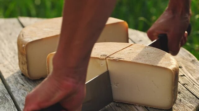 Delicious Ossau-Iraty cheese wheel being cut with a special cheese knife.