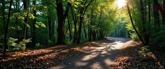 Obraz premium Sun-dappled forest path, leaves scattered on the ground, orange, green