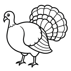 Turkey isolated on white background