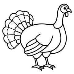 Turkey isolated on white background