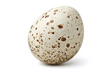 Spotted quail egg, whole, isolated on white