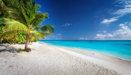 Obraz premium Luxury tropical landscape, white sandy beach with palm trees and clear blue sea. Wonderful vacation spot. Many beautiful boats. Beautiful exotic summer beach background for design.