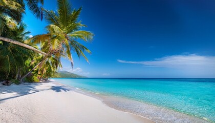 Fototapeta premium Luxury tropical landscape, white sandy beach with palm trees and clear blue sea. Wonderful vacation spot. Many beautiful boats. Beautiful exotic summer beach background for design.