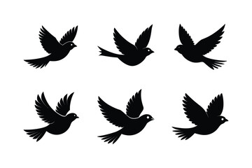 canary in flight vector silhouette design