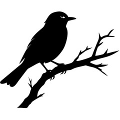 Obraz premium Silhouette of Bird Perched on Bare Branch Vector Art for Nature Illustrations and Design