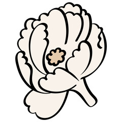 jasmine flower with stem handrawn line and color style illustration