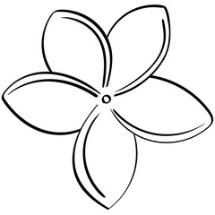single plumeria flower handrawn outline style illustration