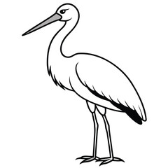 Stork isolated on white background