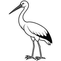 Stork isolated on white background