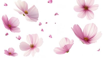 delicate pink flowers and petals scattered against a white background creating a serene and aesthetically pleasing composition