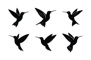 Fototapeta premium hummingbird hovering vector silhouette design