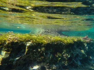 Dark blue ocean surface seen from underwater. Abstract waves underwater and rays of sunlight shining through, Sun light rays undersea deep, Underwater background with sea bottom, Mediterranean sea.
