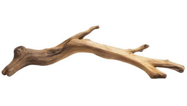a smooth weathered piece of driftwood showcasing natural textures and colors often used in home decor or as a centerpiece in artistic displays