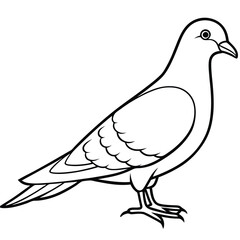 Dove line art isolated on white background