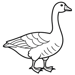 Goose line art isolated on white background