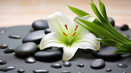 Obraz premium Close-up of smooth, dark spa stones arranged in a peaceful zen garden with delicate white sand