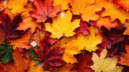 Fototapeta premium Close-up of vibrant autumn leaves in various shades of orange, yellow, and red scattered across a green lawn