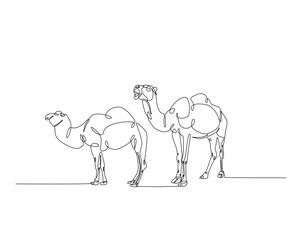 Camels one line drawing illustration. Camel walking in the desert  monoline design.