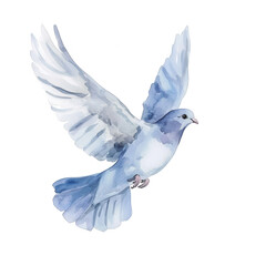 Fototapeta premium a watercolor illustration of a bird in flight showcasing delicate blue and gray feathers against a white background the artwork emphasizes grace and freedom suitable for nature-themed projects