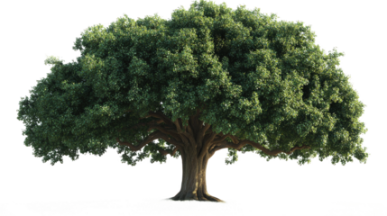 Majestic Green Tree in Nature