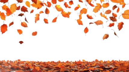 Autumn Leaves Falling on Ground