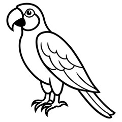 Obraz premium Abstract Macaw Vector Line Art