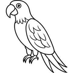 Abstract Macaw Vector Line Art