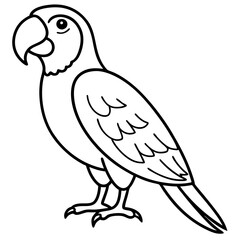 Obraz premium Abstract Macaw Vector Line Art