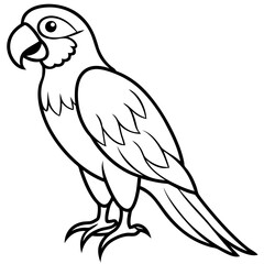 Obraz premium Abstract Macaw Vector Line Art