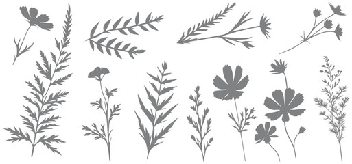 Botanical set. Floral silhouettes. Plant collection silhouettes wildflowers and plants vector.