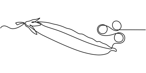 Continuous one line drawing of whole healthy organic green pea for harvesting logo identity, pea bean continuous one line drawing, Vector illustration of peas isolated on white background.