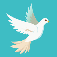 white dove flying
