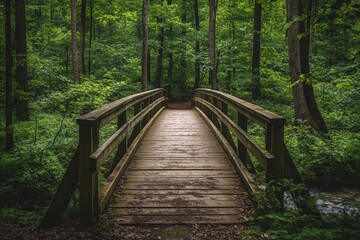 Fototapeta premium A serene wooden bridge stretches across a lush green forest, inviting explorers to discover the tranquility of nature and escape into the wild