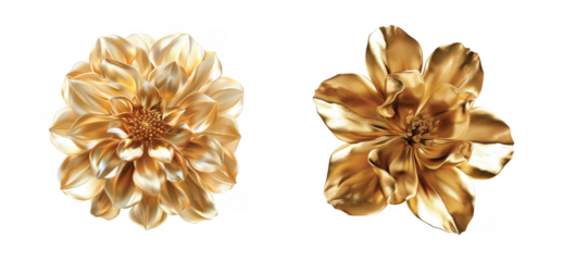 Elegant golden flowers with detailed petals and bright yellow centers reflecting light