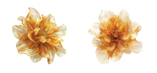 Golden flowers with detailed petals and intricate veins