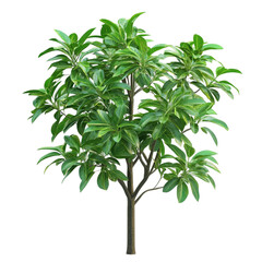 Obraz premium Lush Green Tree Vibrant Stripes Background