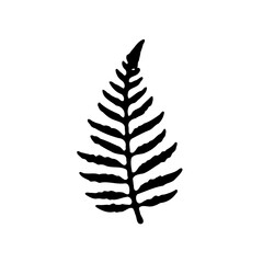 Fototapeta premium Monochrome Simple Fern Illustration in Black Ink