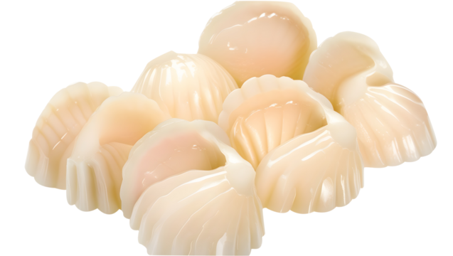 Fresh Raw Scallops on a White Surface 