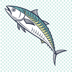 Mackerel Fish Vector Image