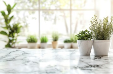 Potted Plants on Marble Countertop with Natural Light Streaming Through Window